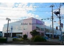 ディスカウントドラッグコスモス早苗店(ドラッグストア)まで1819m エトワールパレス　A棟