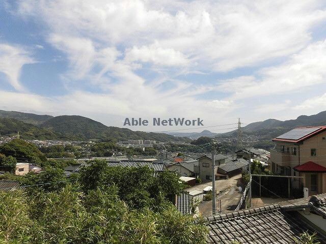  みかんの木　MK