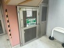  エオナス浜田