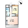 セレーノⅡ 1LDKの間取り