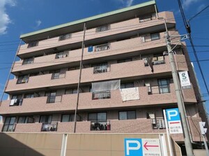 シンシアリー