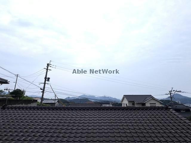 同型102 vanity花高