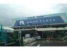 ホームプラザナフコ波佐見店(電気量販店/ホームセンター)まで1497m アビーロード