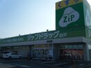 ｼﾞｯﾌﾟﾄﾞﾗｯｸﾞ白沢奥田店(ドラッグストア)まで1247m グラスィーユ