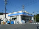 ﾛｰｿﾝ 半田大高店(コンビニ)まで1051m プラシード　カーサI