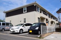 シャトル梅の木