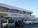 ﾌｰｽﾞｱｲﾗﾝﾄﾞ 花園店(スーパー)まで924m アールズコート