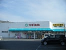 ｽｷﾞﾄﾞﾗｯｸﾞ 有楽店(ドラッグストア)まで403m ハイツヤマオ