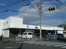 ｲｼﾊﾗﾌｰﾄﾞ常滑店(スーパー)まで1613m メゾン ラダー