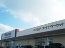 ﾍﾞｲｼｱｽｰﾊﾟｰﾏｰｹｯﾄ 常滑ｲﾝﾀｰ店(スーパー)まで483m プロムナード弐番館