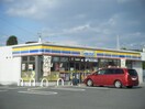 ﾐﾆｽﾄｯﾌﾟ 奥条店(コンビニ)まで1278m ブルーコテージＫ＆Ｈ