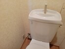 温水洗浄便座取付可 グリーンハウス新美