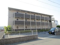 Cleyera青山