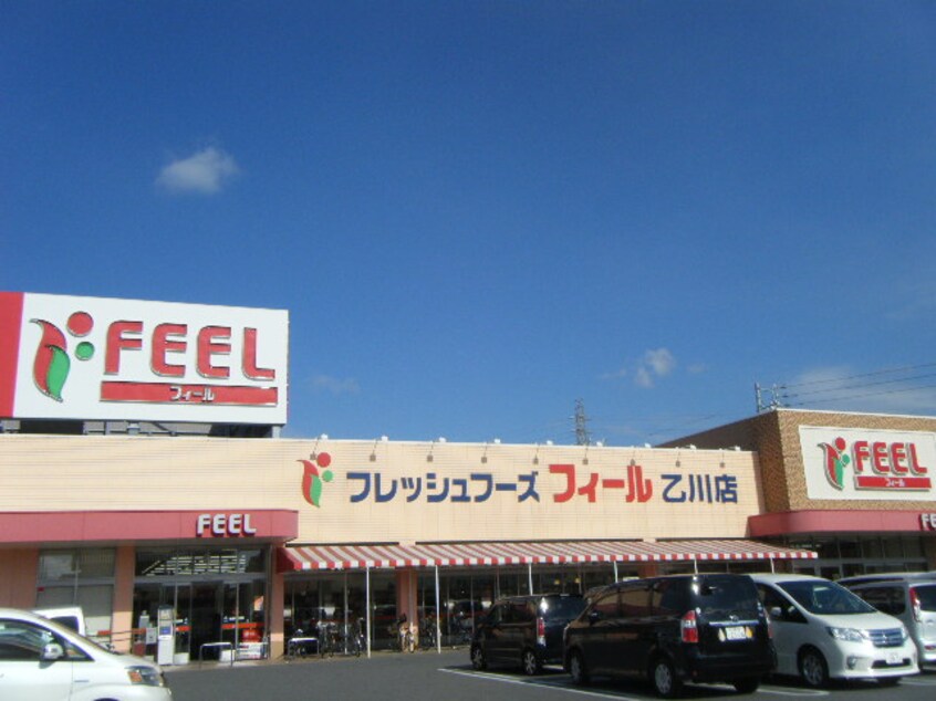 ﾌｨｰﾙ乙川店(スーパー)まで784m ベル　グランツ