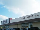 ﾍﾞｲｼｱｽｰﾊﾟｰﾏｰｹｯﾄ 常滑ｲﾝﾀｰ店(スーパー)まで605m ルミエールASUKA