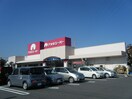 ｱｵｷｽｰﾊﾟｰ 乙川店(スーパー)まで1605m エスペランサ上池