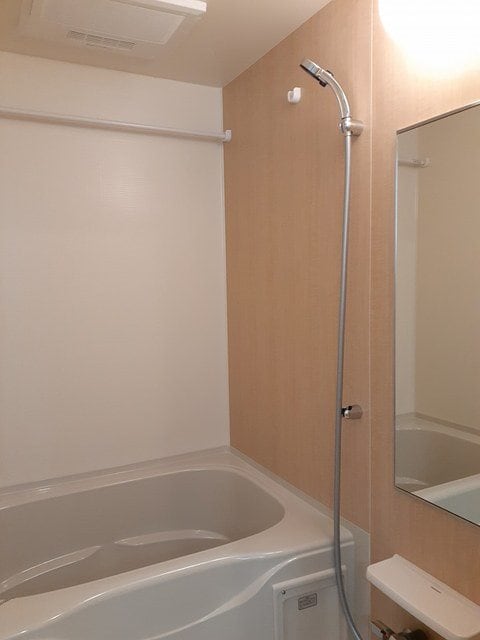  エバーグリーンD