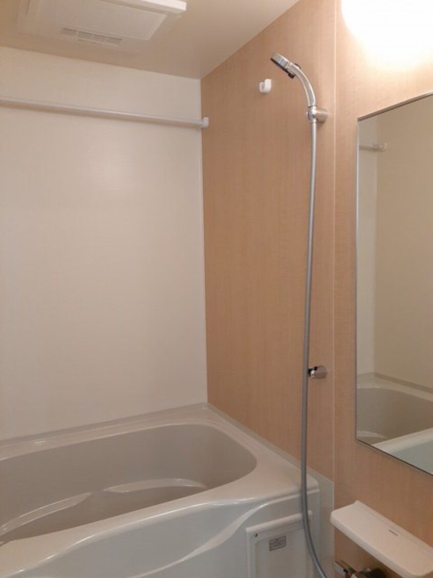  エバーグリーンD