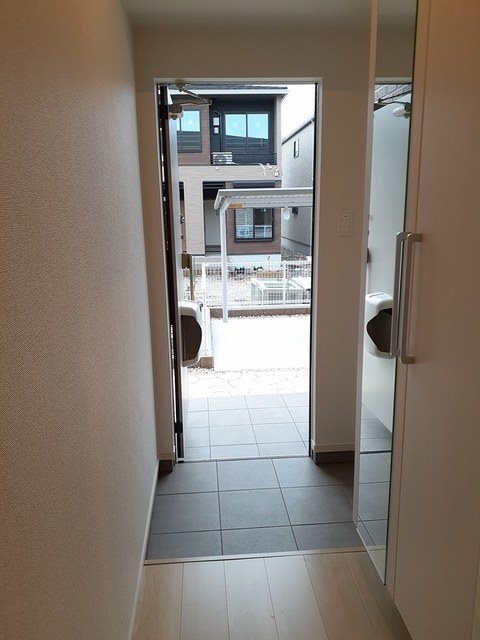  エバーグリーンD