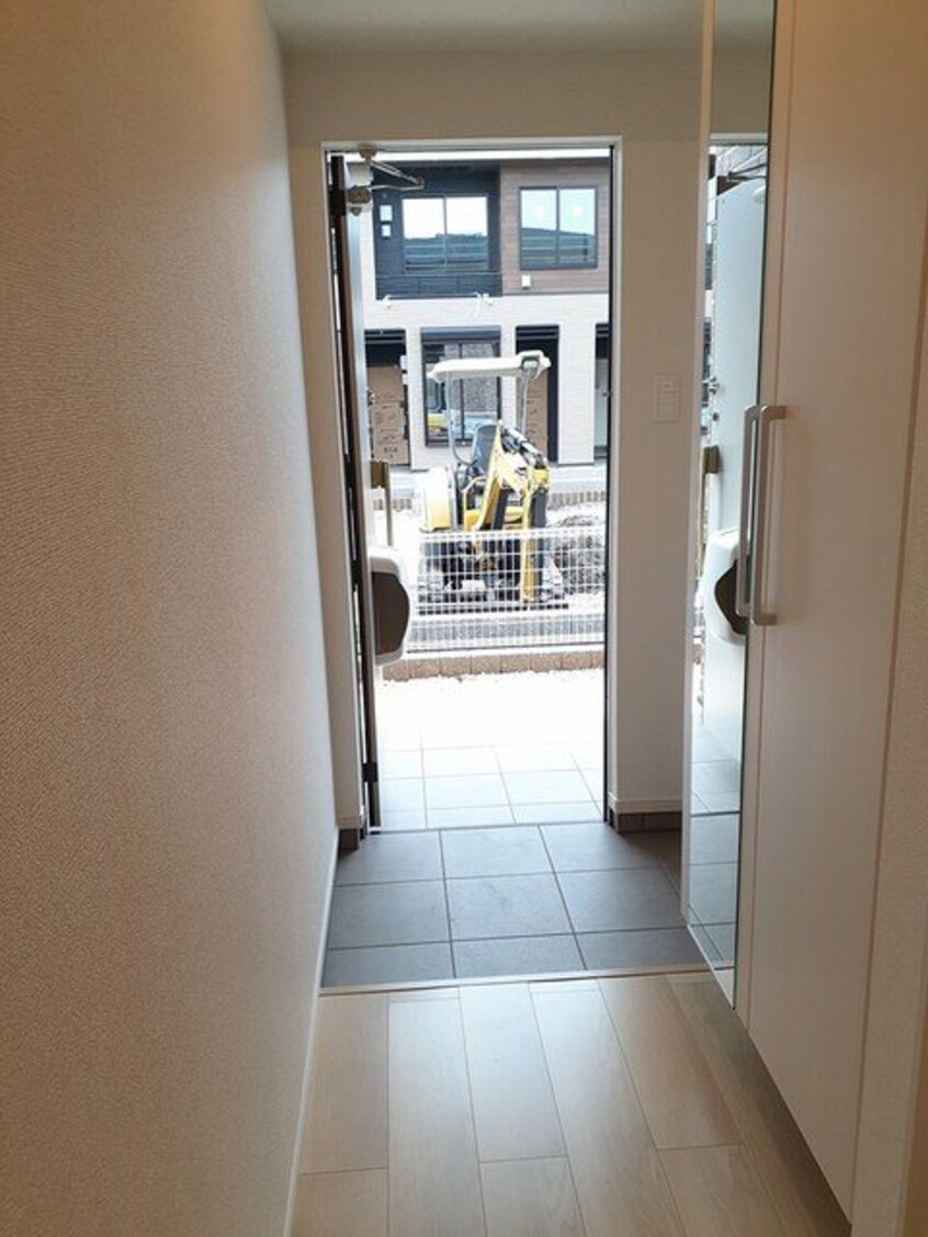  エバーグリーンD