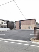  エバーグリーンD