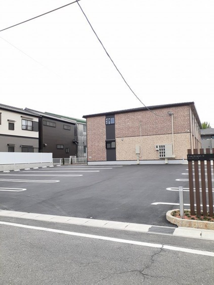  エバーグリーンD