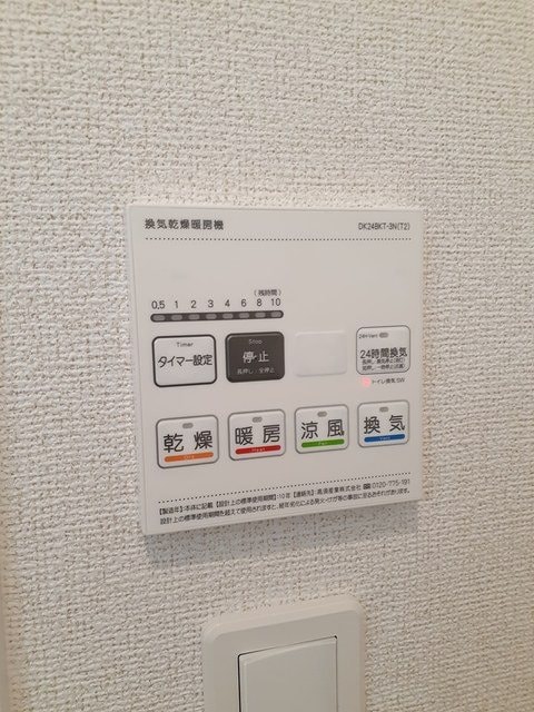  エバーグリーンD