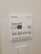  エバーグリーンD