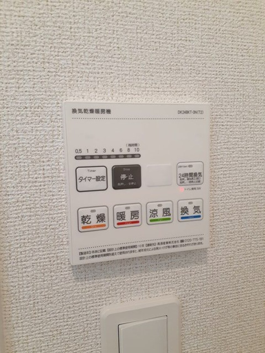  エバーグリーンD