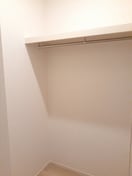  エバーグリーンD