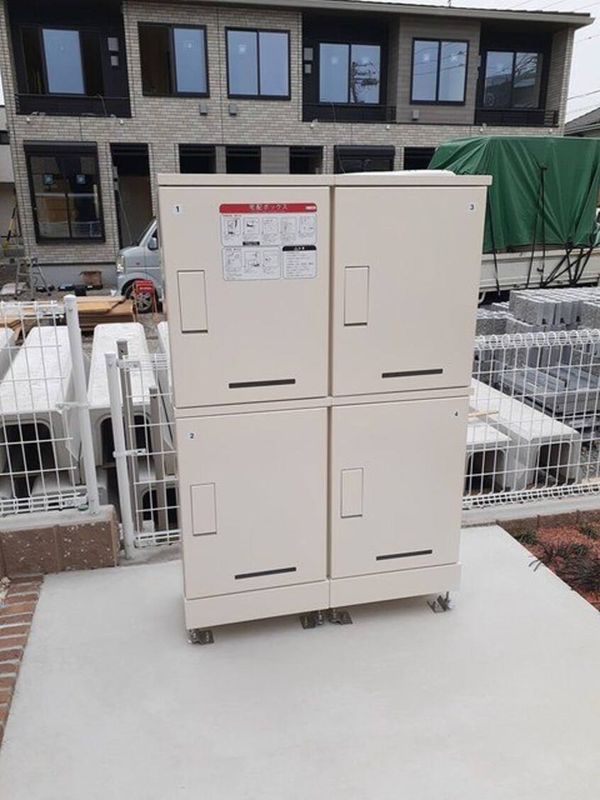  エバーグリーンD