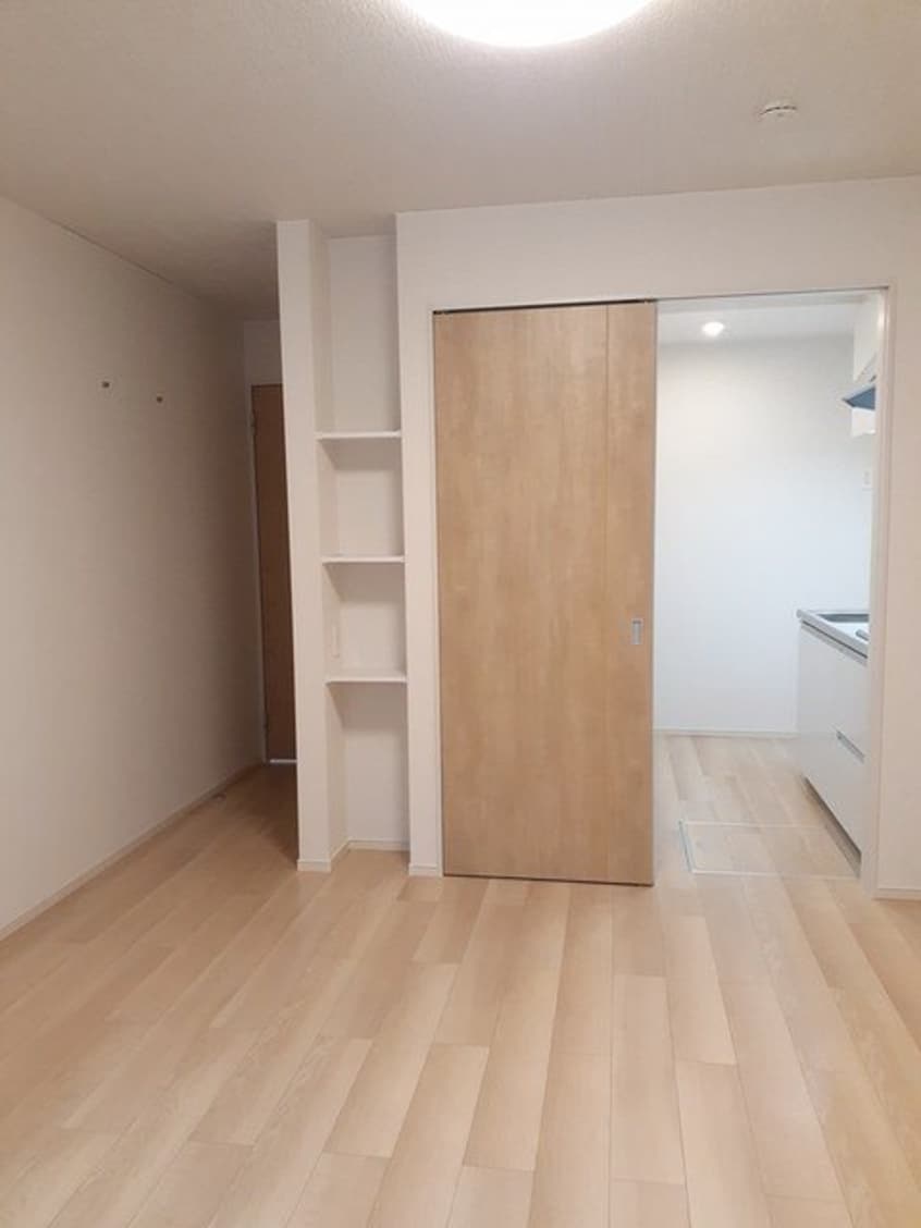  エバーグリーンD