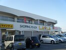 ﾌｰｽﾞｱｲﾗﾝﾄﾞ 花園店(スーパー)まで1136m Sereno青山