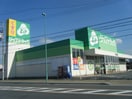 Zipﾄﾞﾗｯｸﾞ白沢寺本店(ドラッグストア)まで123m ラ・パーチェI