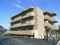 マリベールアドニス