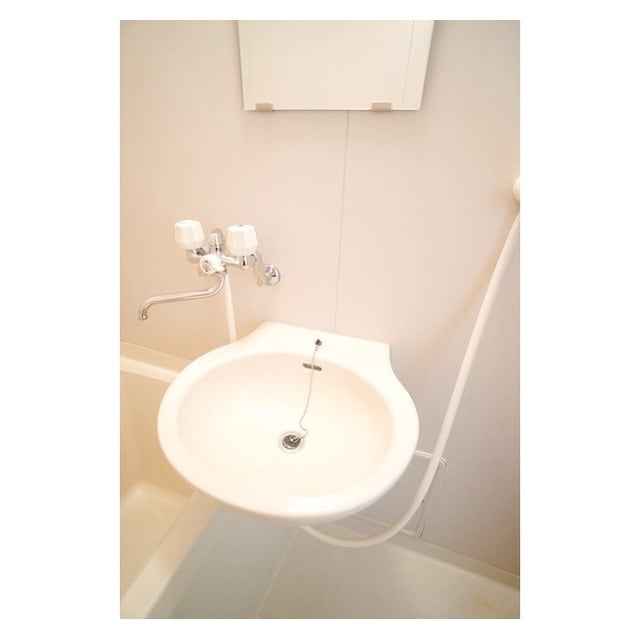 あると便利な洗面ボウル ピアコート