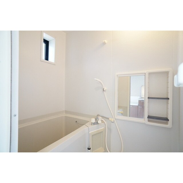 シャンプー棚や鏡完備 Maizon Liberte(メゾンリベルテ）