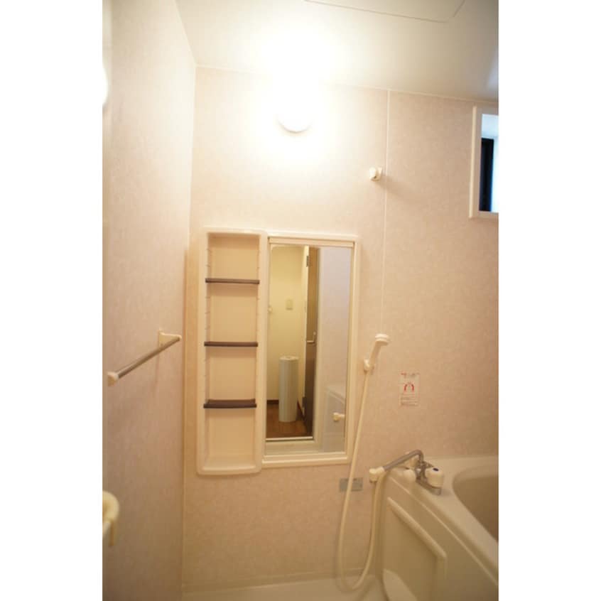 便利なシャンプー棚や鏡完備 グリーンヒルハイツＣ棟