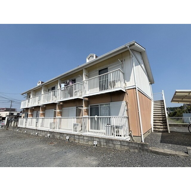  アネックスアライ