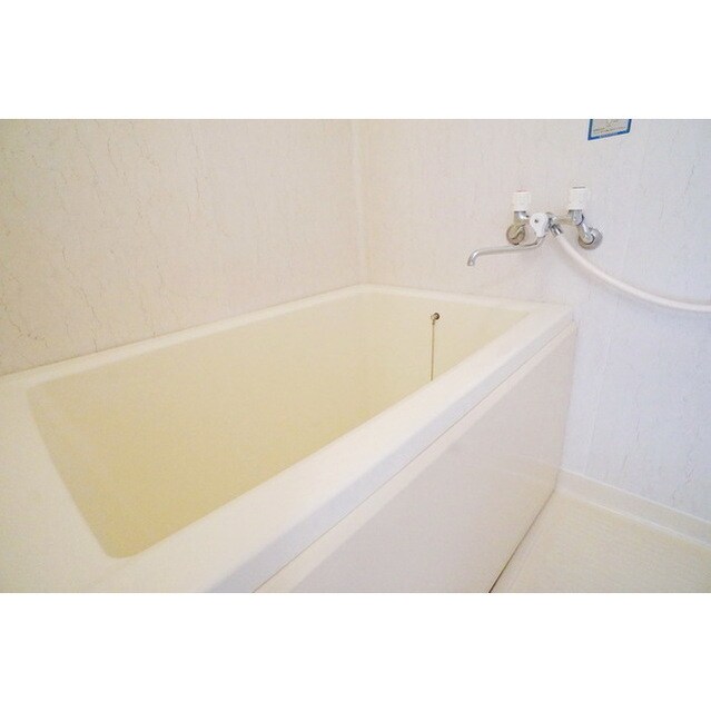 しっかりお手入れ済み アネックスアライ