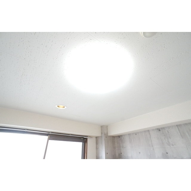 居室照明完備 プレアージュⅡ