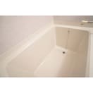 大きめのバスタブです ルミエールＡ棟