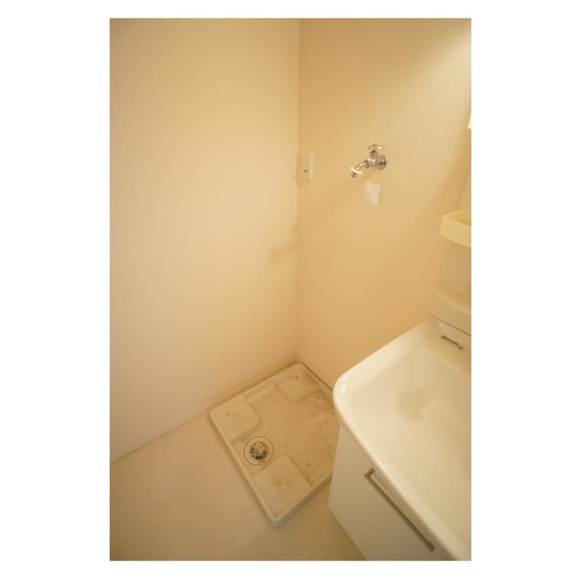 ムダなく配置された洗濯機スペー パークドプランタン　Ｂ