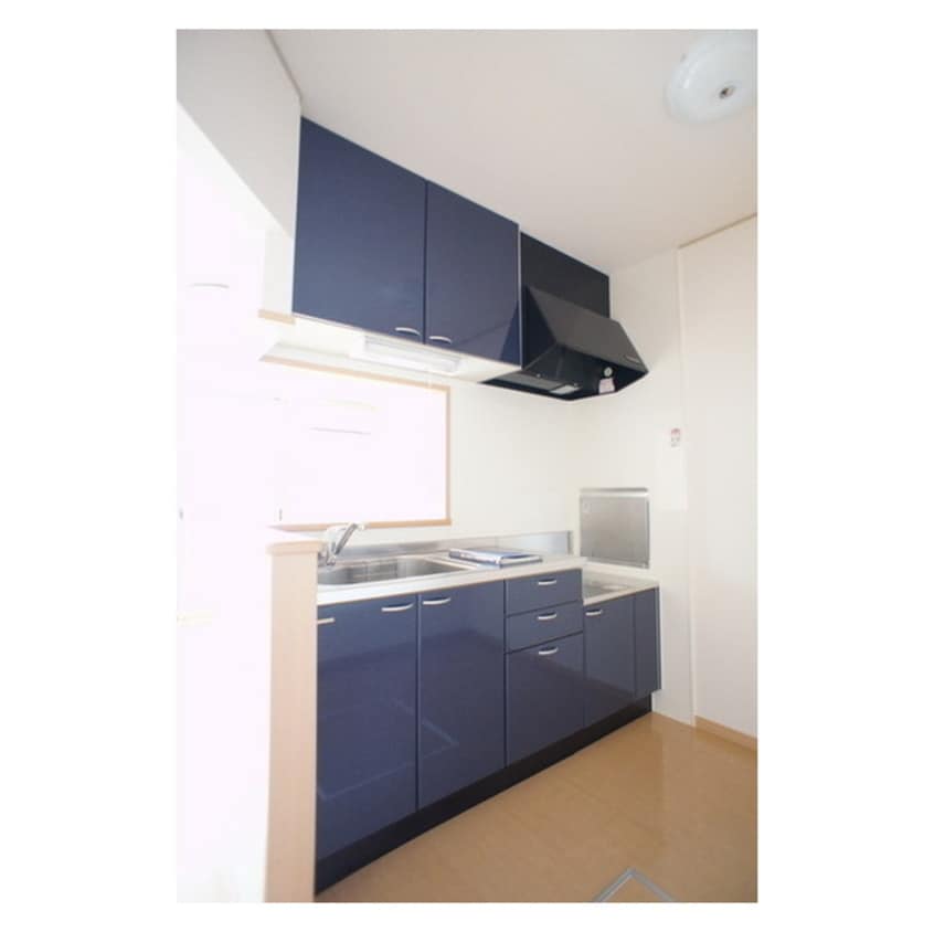 対面キッチンでお料理も楽しめま ＰＲＩＮＣＥＳＳ　Ⅱ