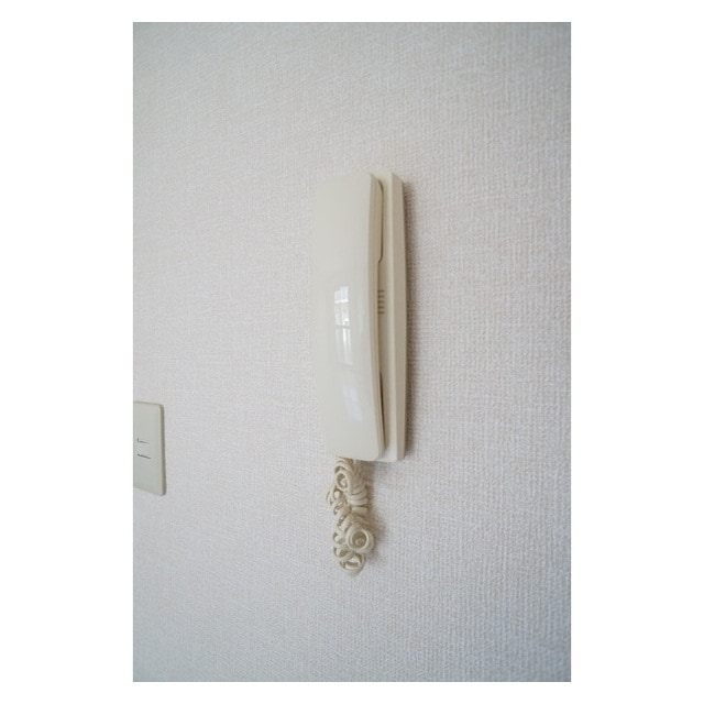 不意の来客にも安心ですね ダイクレール　Ａ