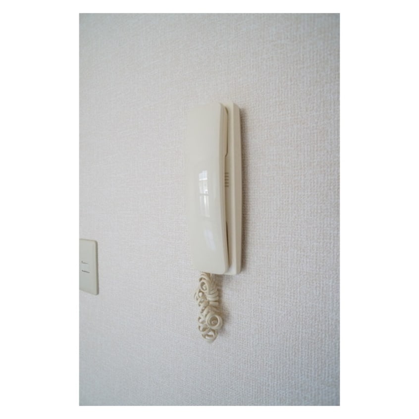 不意の来客にも安心ですね ダイクレール　Ａ