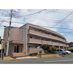 エストレーノ見川１００