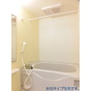  クオーレ　メグ