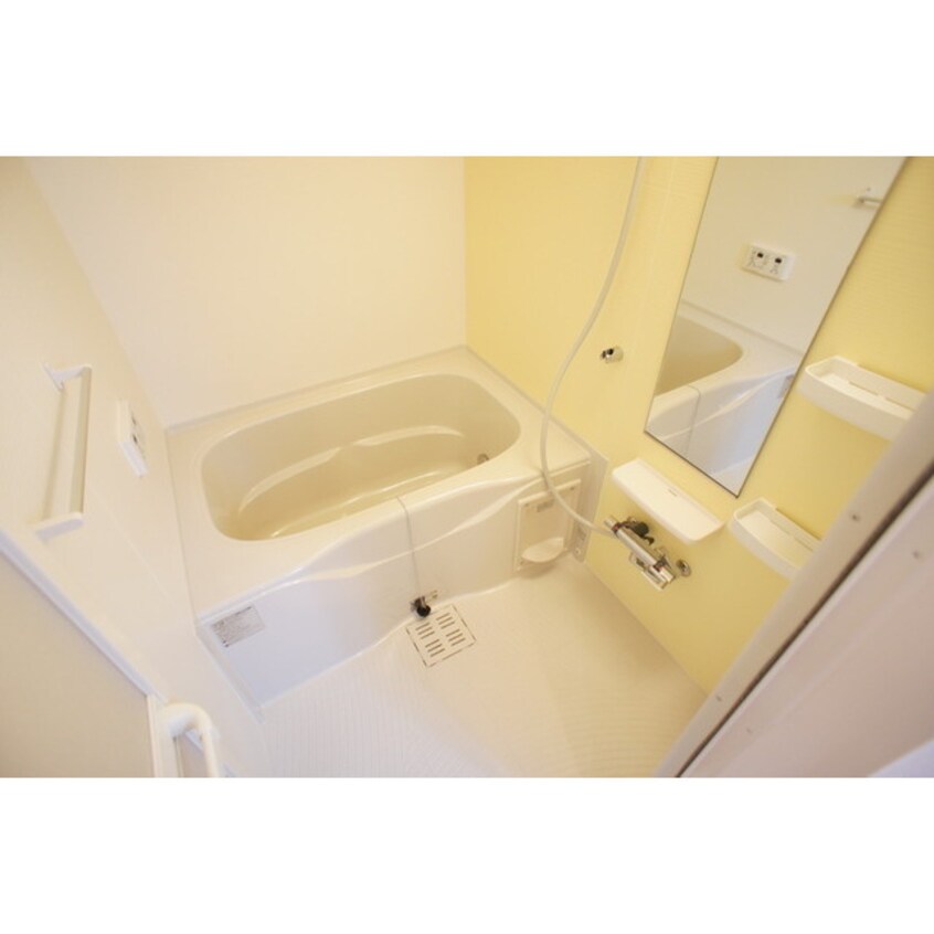 シャンプー棚や鏡も完備 レジデンス・リオ　Ⅱ