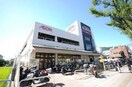 コーヨー箕面店(スーパー)まで292m※コーヨー箕面店 アクセスコート箕面